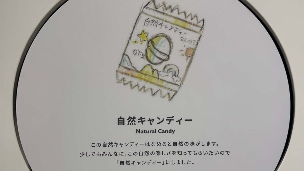 自然キャンディ2
