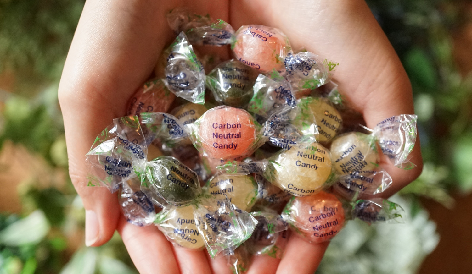 カーボンニュートラルキャンディー