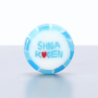 一般社団法人志賀高原索道協会